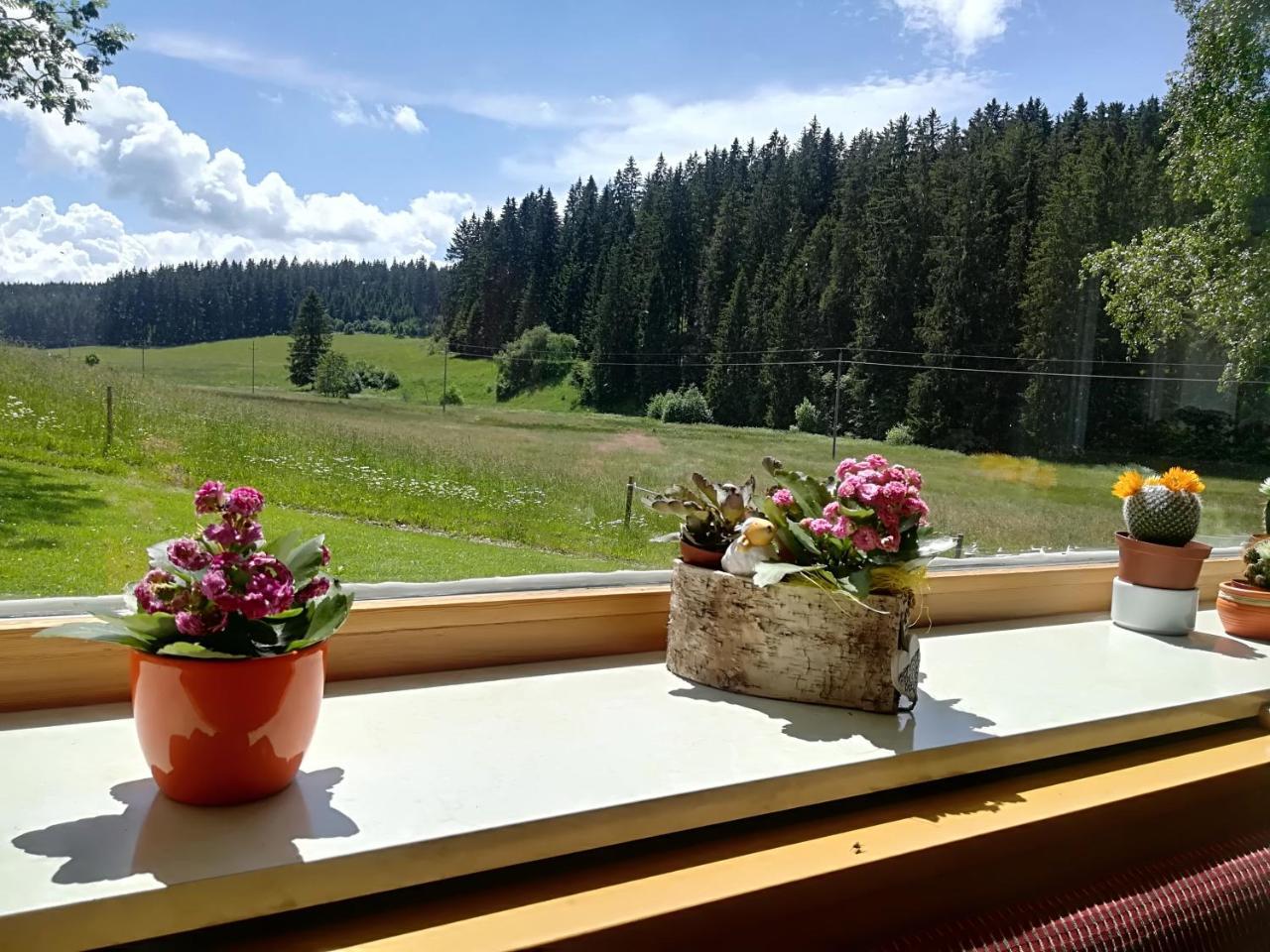 Hotel Kaltenbach Schönwald Bagian luar foto